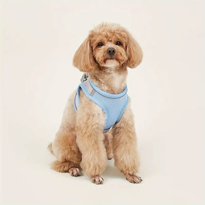 ComfyPaws - Voor ultiem comfort en veiligheid tijdens elke wandeling!