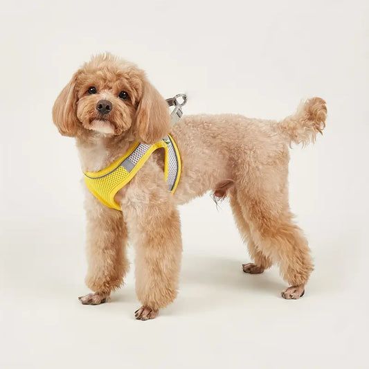 ComfyPaws - Voor ultiem comfort en veiligheid tijdens elke wandeling!
